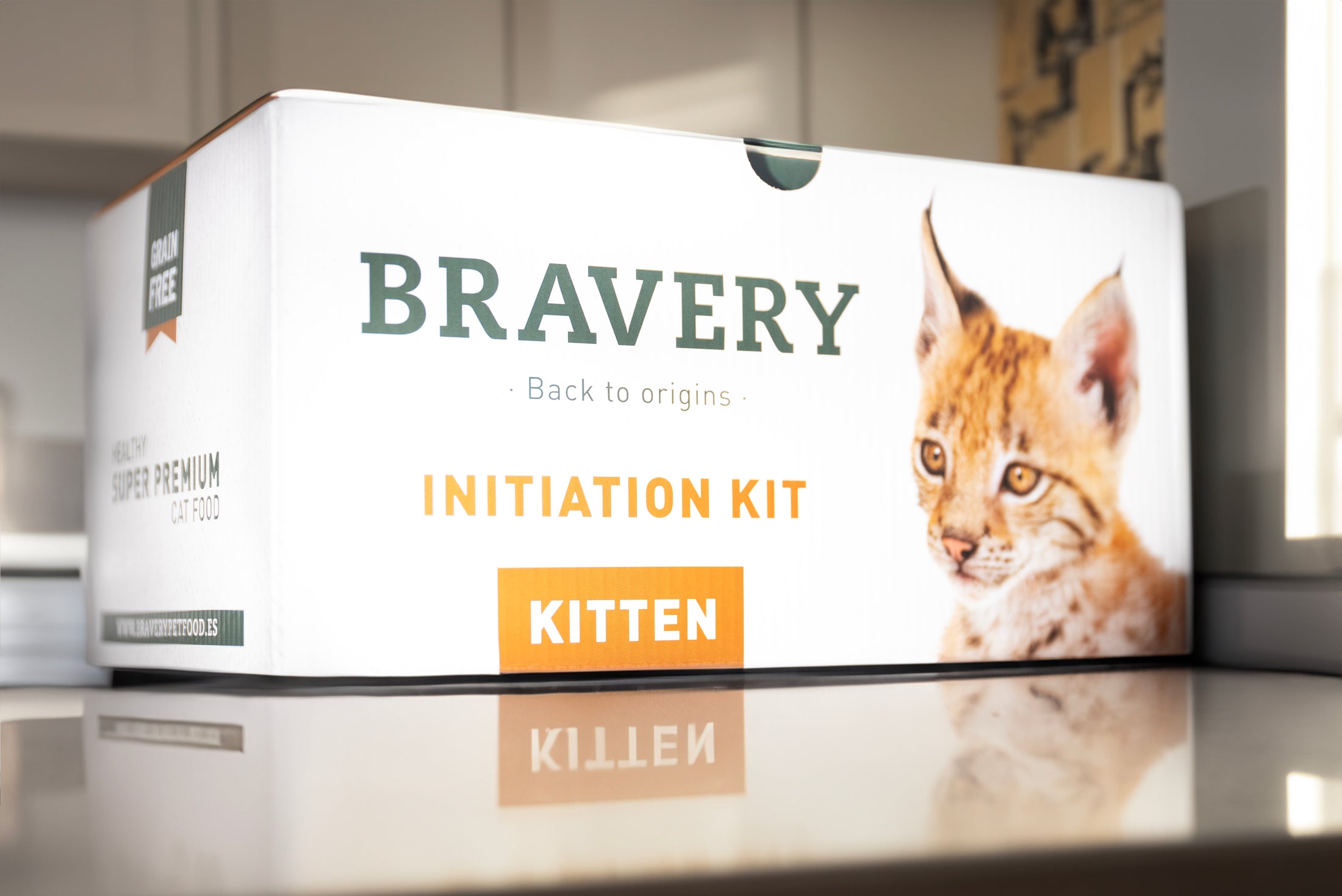 BRAVERY Initiation Kit