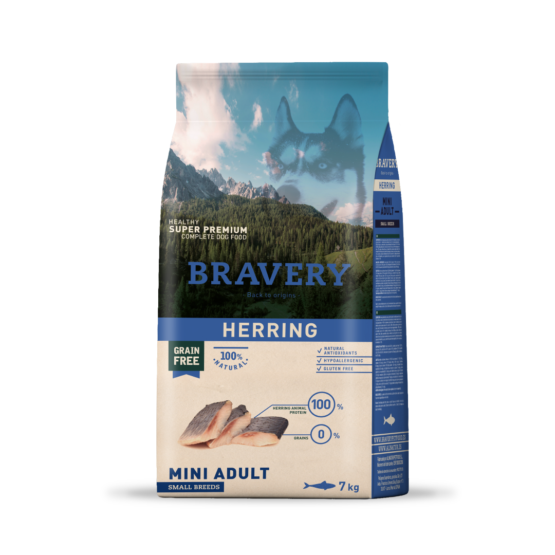 BRAVERY Hareng  -  Adult Mini Dog
