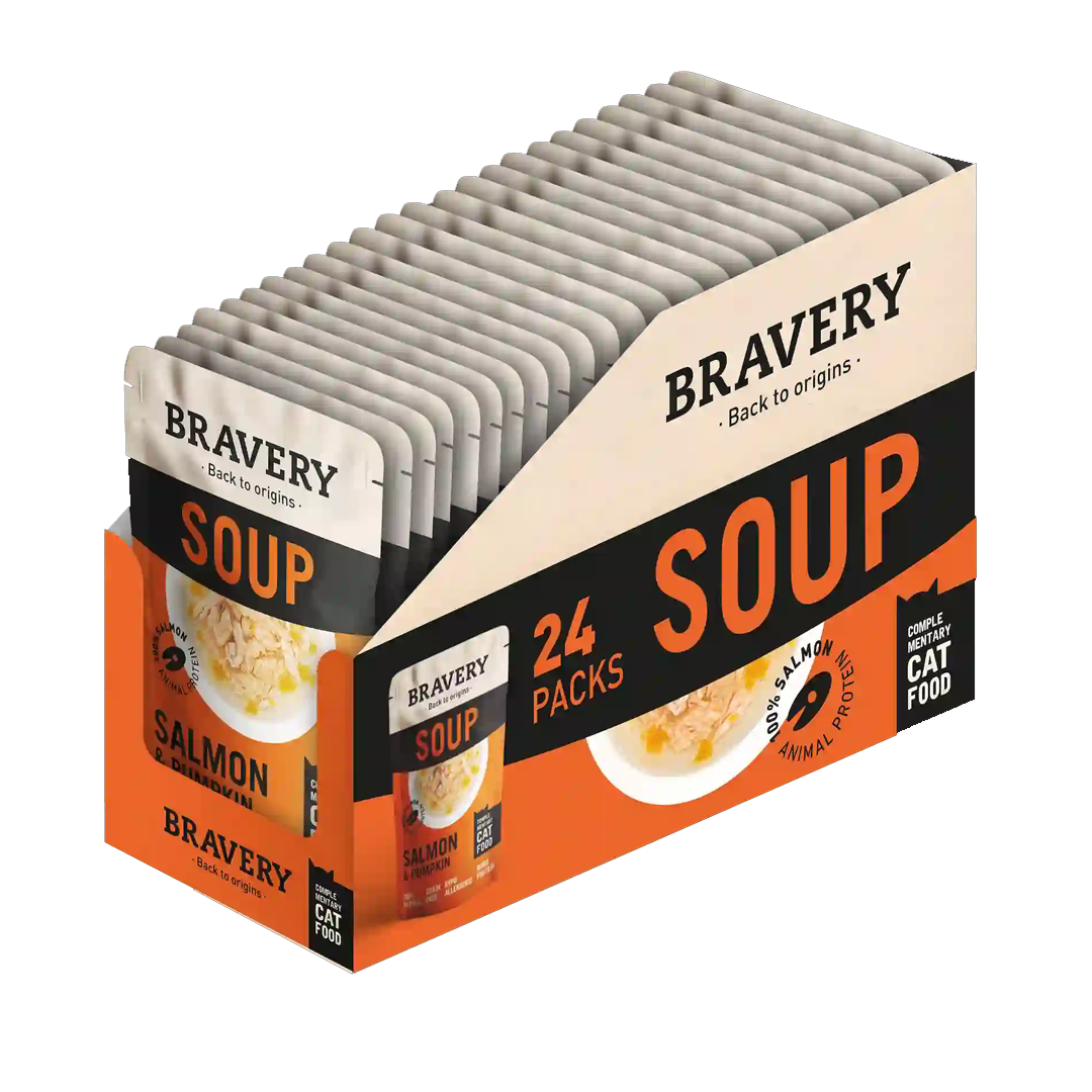 Bravery Hypoallergenic Grain-Free Cat Food Salmon & Pumpkin recipe bag – natural nutrition for sensitive cats
