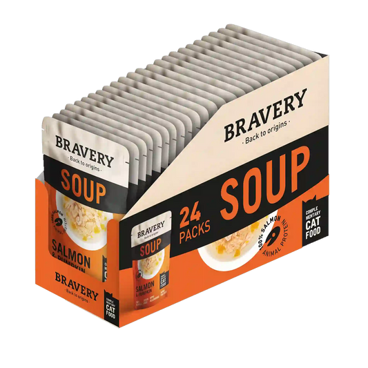 Bravery Hypoallergenic Grain-Free Cat Food Salmon & Pumpkin recipe bag – natural nutrition for sensitive cats