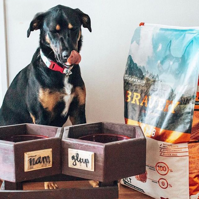 Braveness dog best sale food