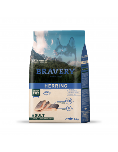 BRAVERY Hareng  -  Adult Mini Dog